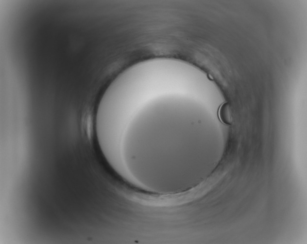 X0000102300019200808081554