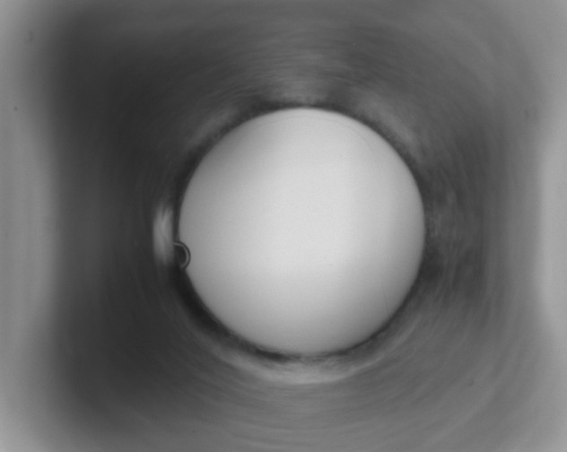 X0000102300020200808081554
