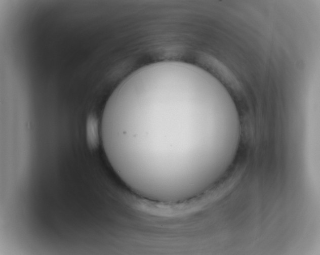 X0000102300022200808081554