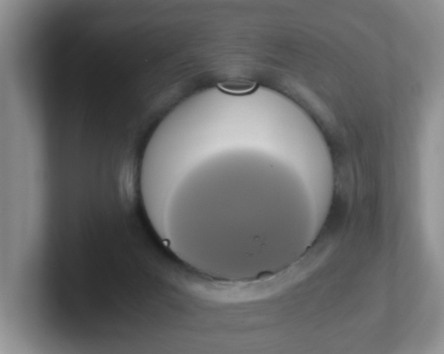 X0000102300023200808081554