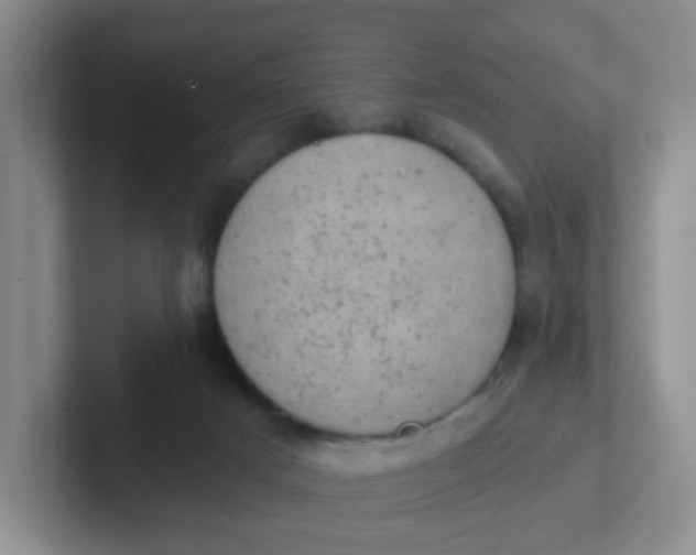 X0000102300025200808081554