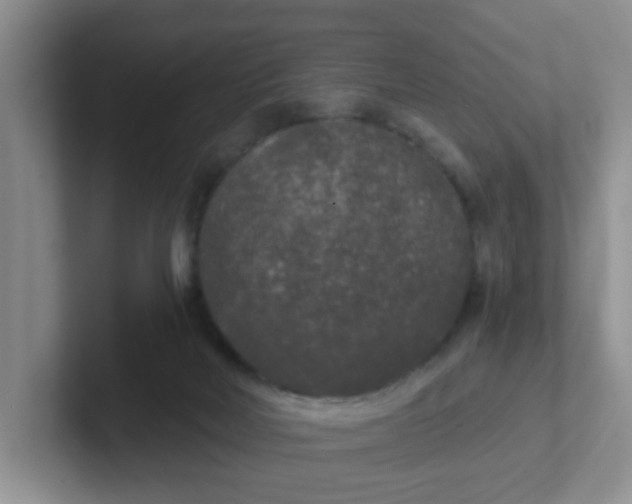 X0000102300026200808081554