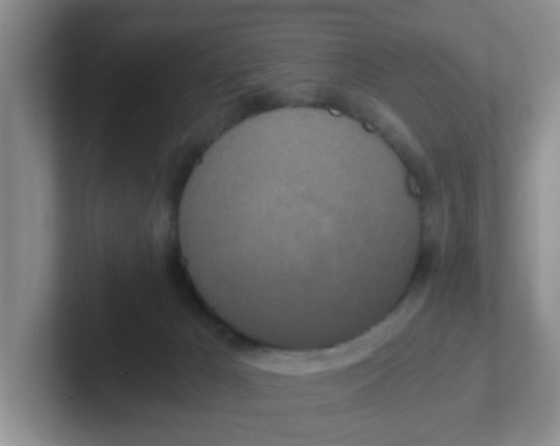 X0000102300029200808081554