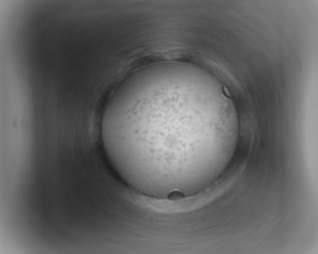 X0000102300030200808081554