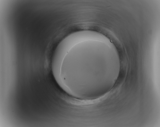 X0000102300031200808081554