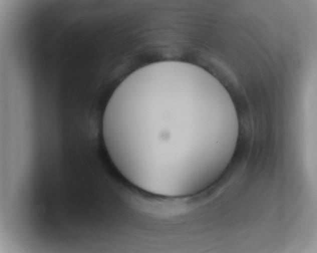 X0000102300032200808081554