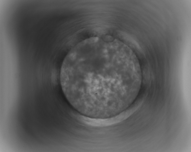 X0000102300034200808081554