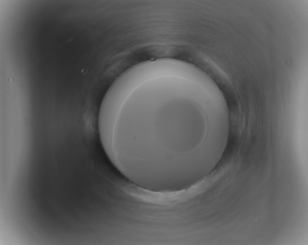 X0000102300035200808081554