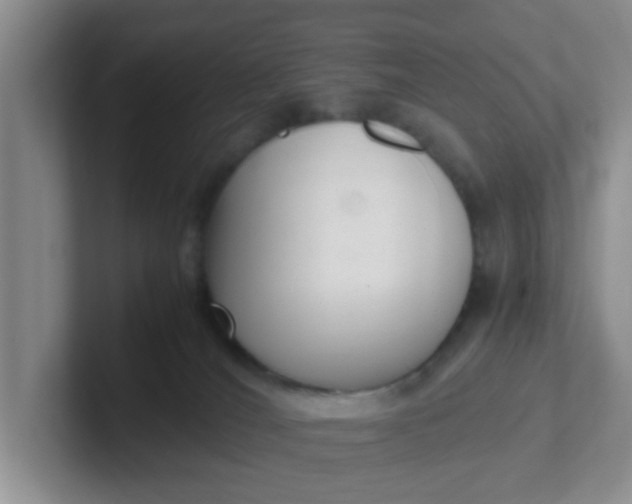X0000102300036200808081554
