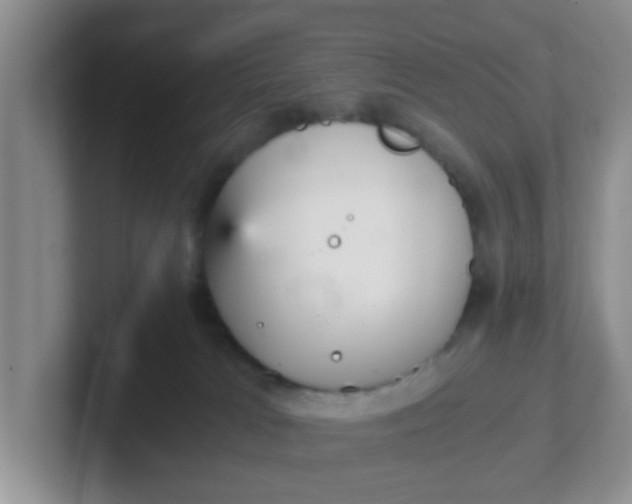 X0000102300037200808081554