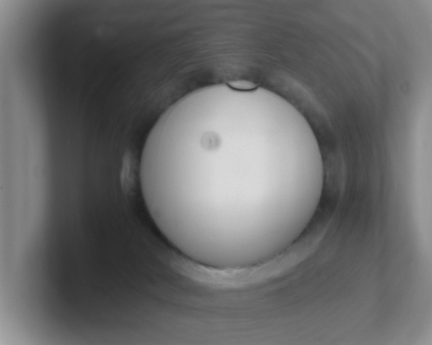 X0000102300038200808081553