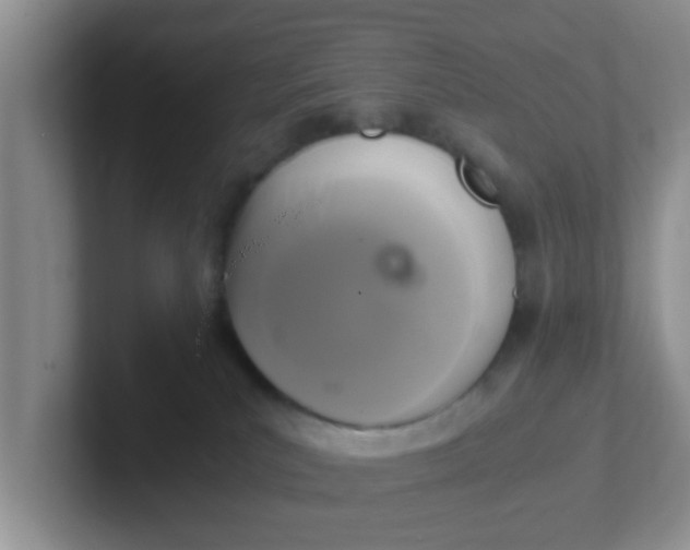 X0000102300039200808081553