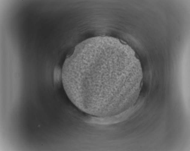 X0000102300041200808081553