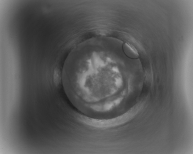 X0000102300043200808081553