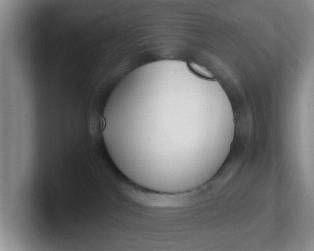 X0000102300044200808081553