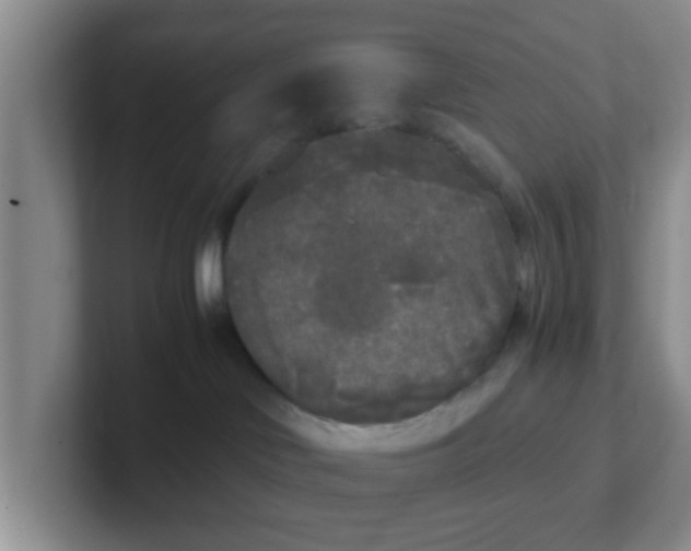 X0000102300046200808081553