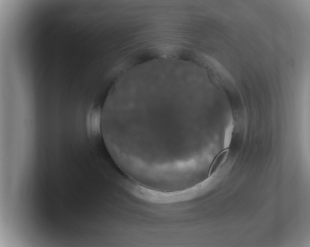 X0000102300047200808081553