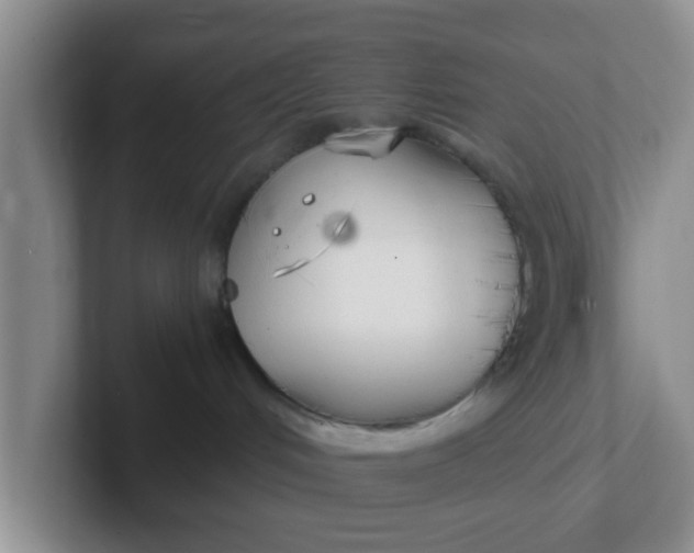 X0000102300048200808081553