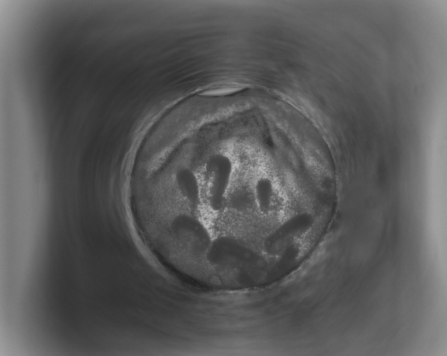 X0000102300049200808081553