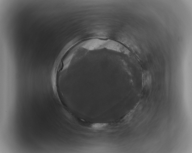 X0000102300051200808081553