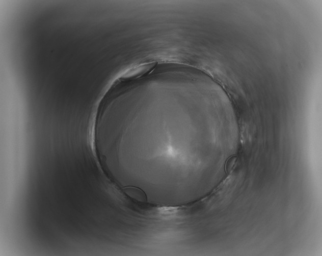 X0000102300052200808081553
