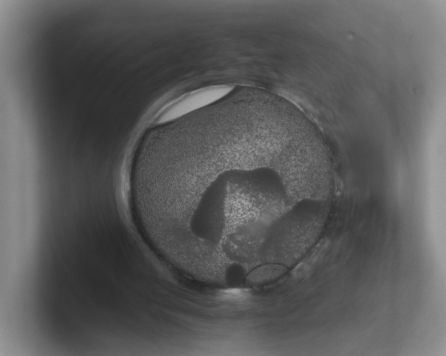 X0000102300053200808081553
