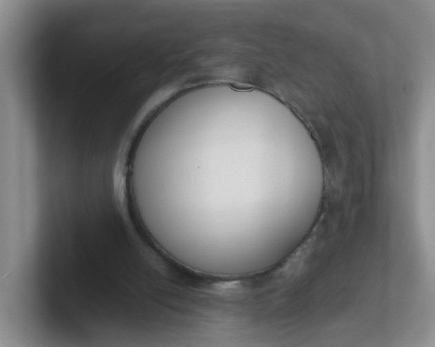 X0000102300054200808081553