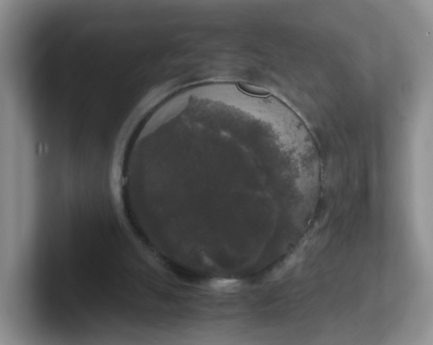 X0000102300055200808081553
