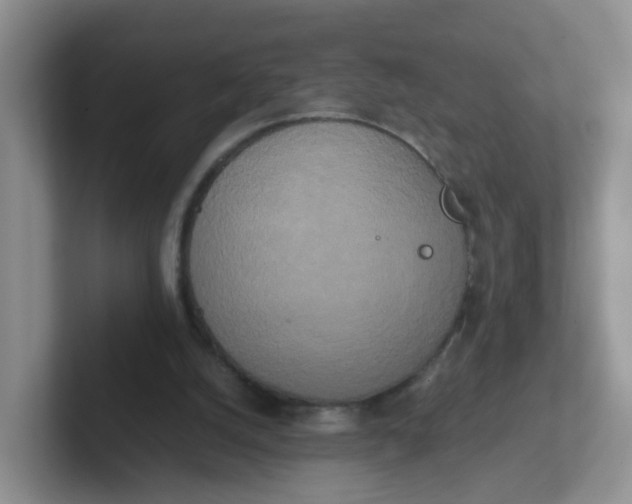 X0000102300056200808081553