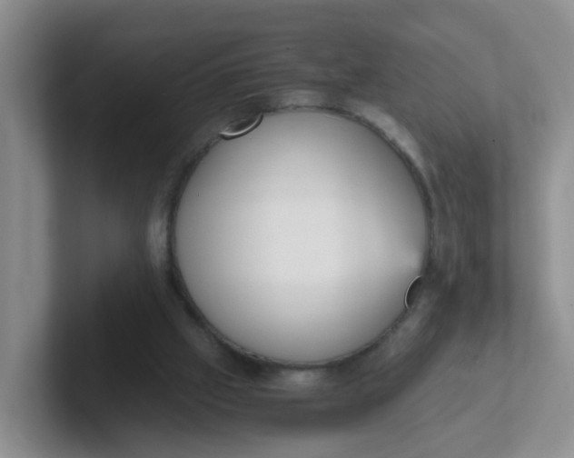 X0000102300057200808081553