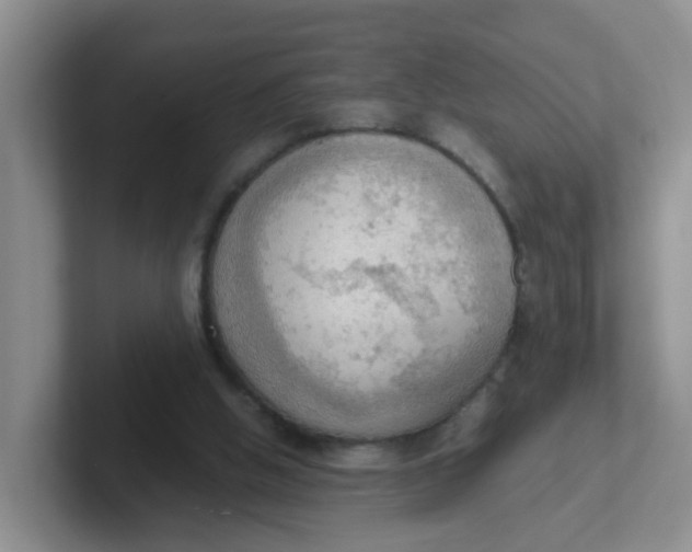 X0000102300058200808081553
