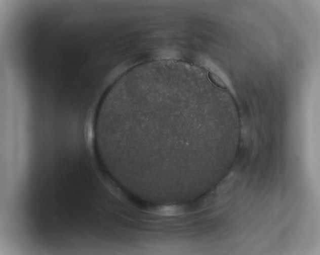 X0000102300059200808081553