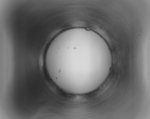 X0000102300060200808081553