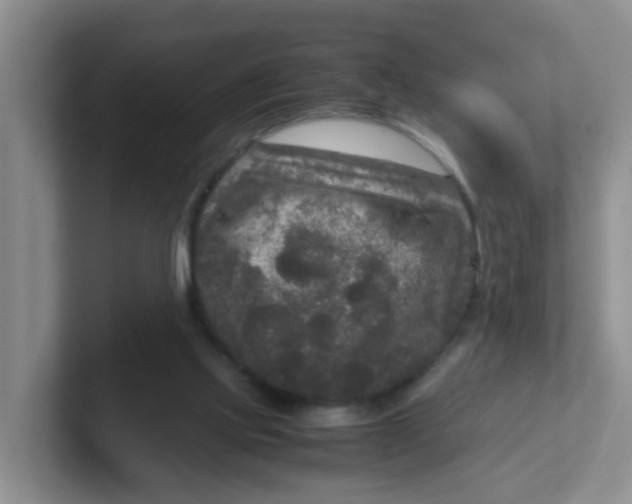 X0000102300061200808081553