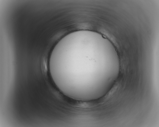 X0000102300062200808081553