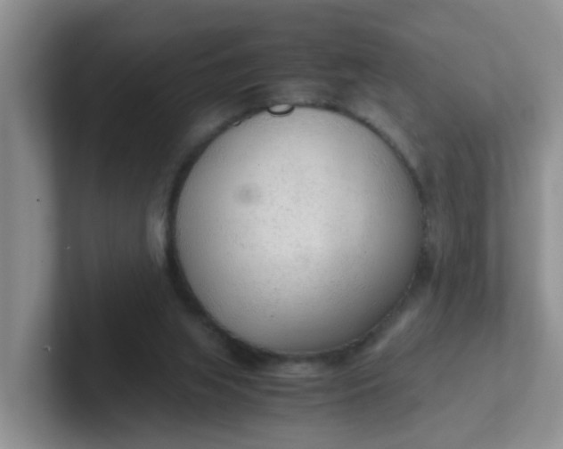 X0000102300063200808081553