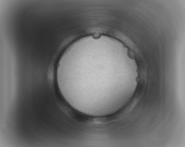 X0000102300064200808081553