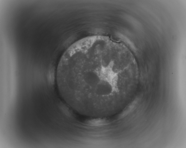 X0000102300065200808081553
