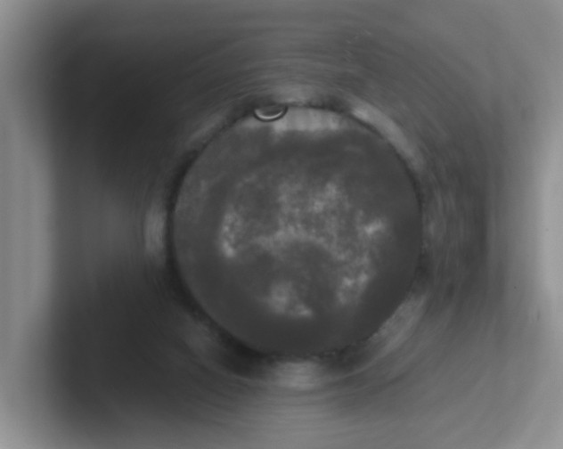 X0000102300066200808081553