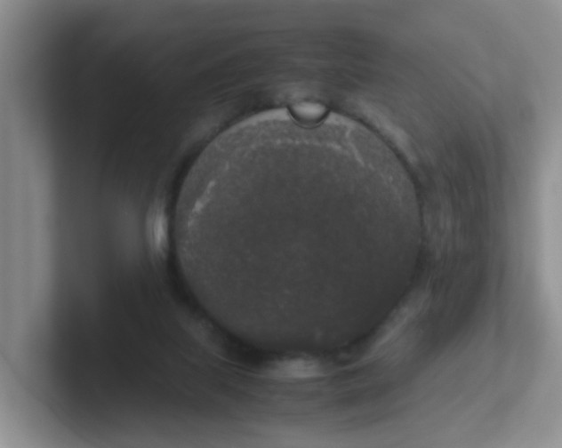 X0000102300067200808081553