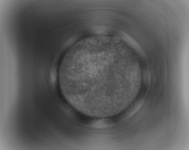 X0000102300072200808081553