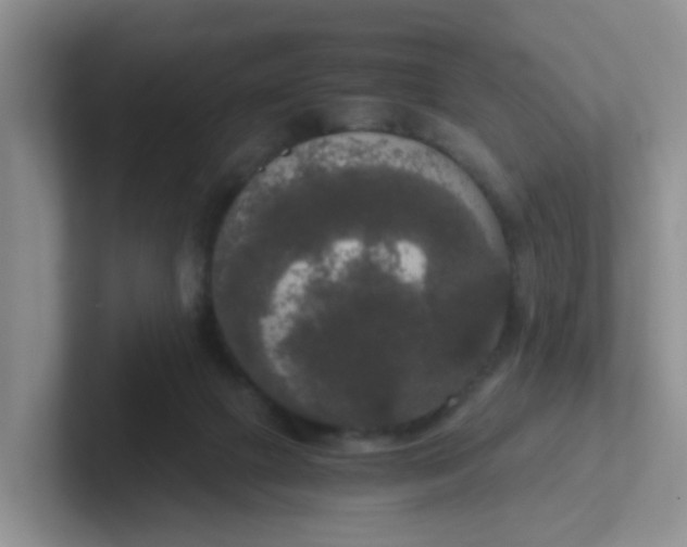 X0000102300073200808081553