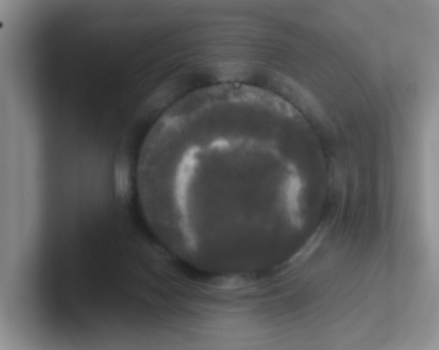 X0000102300074200808081553