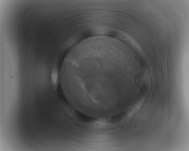 X0000102300076200808081553