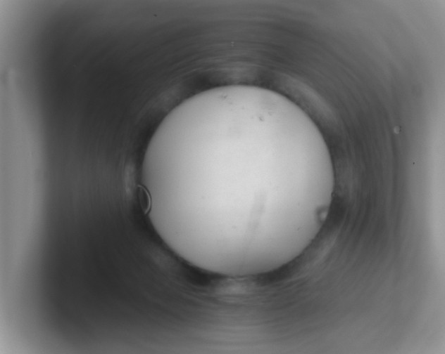 X0000102300077200808081553