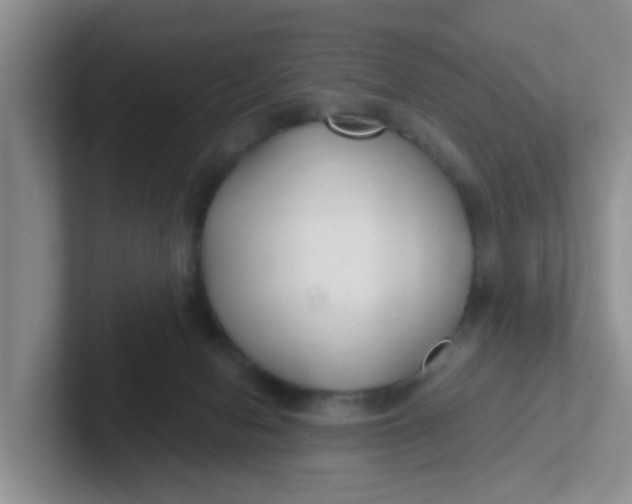 X0000102300078200808081553