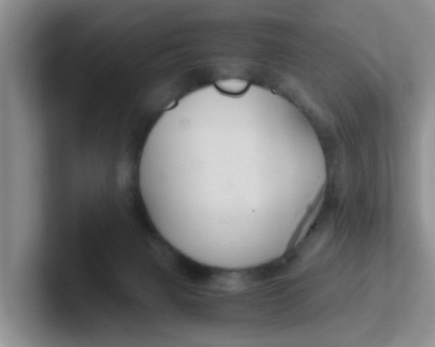 X0000102300079200808081553