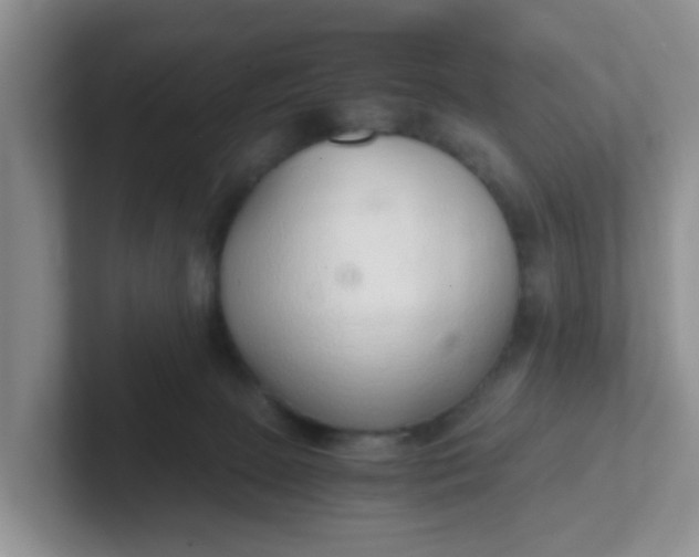 X0000102300081200808081553