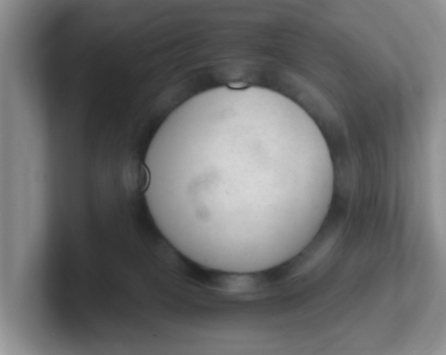 X0000102300085200808081553