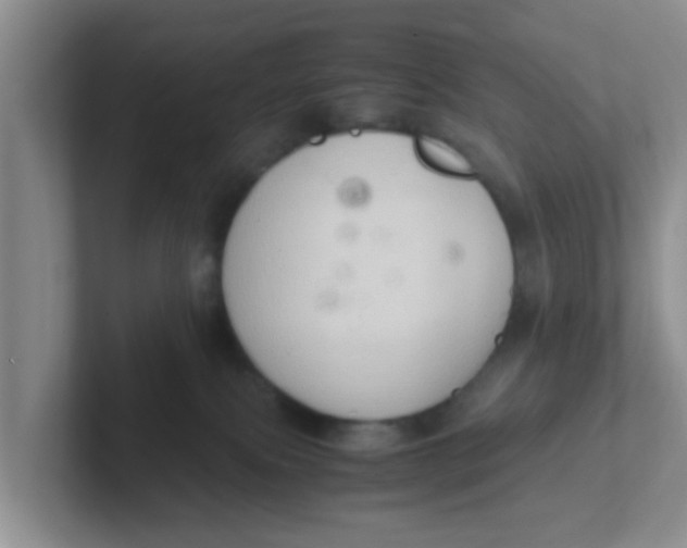 X0000102300087200808081553